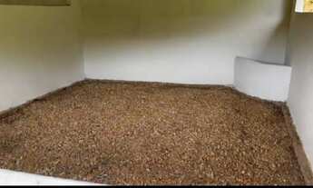 Imagem 4: Lindo haras em ALDEIA