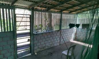 Imagem 5: Casa em "ALTER DO CHÃO&quot