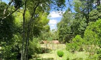 Imagem 4: Chácara entre Caxias do Sul e Flores da Cunha