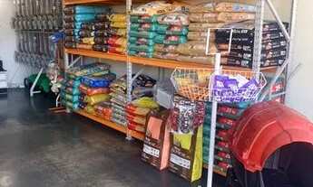 Imagem 4: Oportunidade!!! Pet Shop Completo ( Loja e banho e tosa