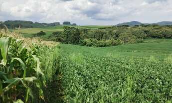 Imagem 7: Vende-se terreno para chacara