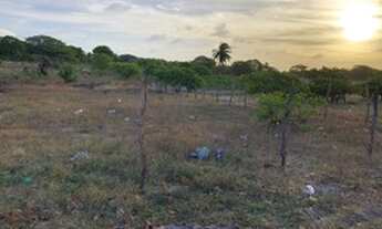 Imagem 4: Lote na lagoa de dentro