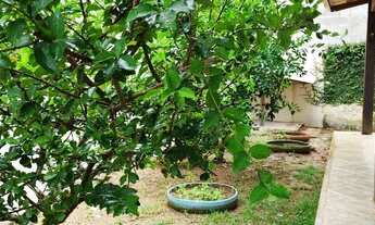 Imagem 6: OPORTUNIDADE PRISCILA DUTRA