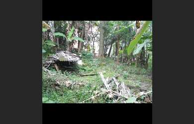 Imagem 3: Sítio com casa de 2 pisos, 3 banheiros e com fogão a lenha