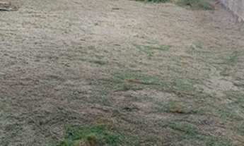 Imagem 4: Repasse de Chave