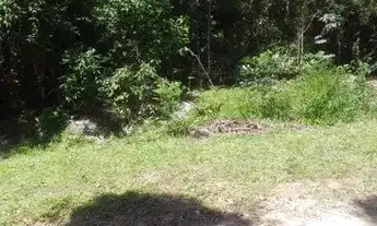 Imagem 2: TERRENO ITANHAÉM