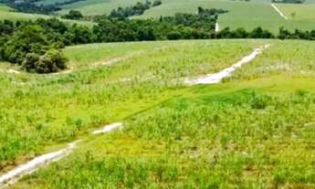 Imagem 2: Região de Conchas Fazenda 70 Alqueires (OCASIÃO