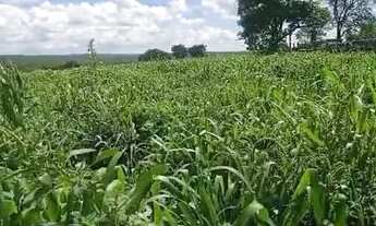 Imagem 4: Fazenda 800 Hectares... Destaque Pecuária. 2.800.000.00