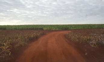 Imagem 5: Vende sitio Chácara com aluguel por R$3.500.000 /mês