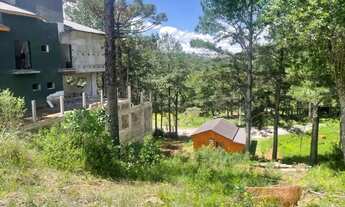 Imagem 7: Terreno - Bairro Dutra