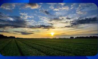 Imagem: FAZENDA TERRA SECA - 75 HECTARES - Rio das