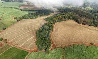 Imagem: Área rural de 96,15 hectares à venda