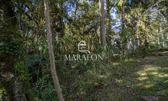 Imagem 3: TERRENO À VENDA EM CANELA NO CONDOMÍNIO PINHEIRO GROSSO!