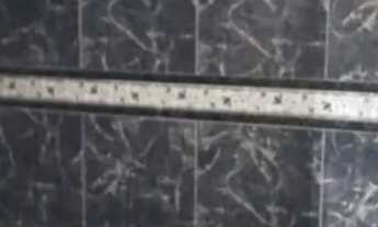 Imagem 13: STIEP 2 quartos reversível nascente total