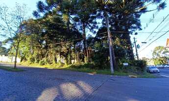 Imagem 6: Terreno à Venda em Canela!