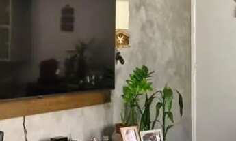 Imagem 7: Apartamento aluguel no Iracema