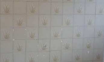 Imagem: Casa artur alvim