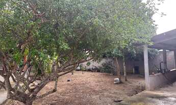 Imagem 3: Mini sítio Casa com 3 dormitórios