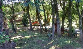 Imagem 6: Sítio em Rua Hagaporã - Recosta - São Francisco de Paula/RS