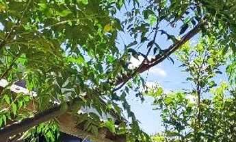 Imagem 4: CASA NA VILA ELZA 65mil