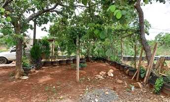 Imagem 6: Sitio 5.000 m², terra de qualidade, com casa, galinheiro, pomar, terra frutífera