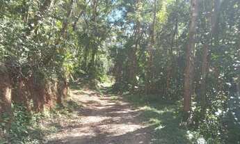 Imagem 2: Super lote pe na agua represa e acesso cachoeira 80 mil reais