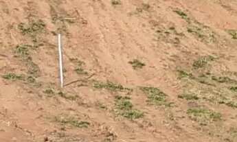 Imagem 6: Duas Chácaras,no Sítio Boa Vista, em Viçosa - MG