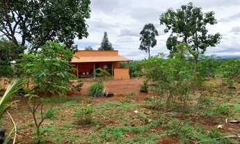 Imagem 7: Sitio 5.000 m², terra de qualidade, com casa, galinheiro, pomar, terra frutífera