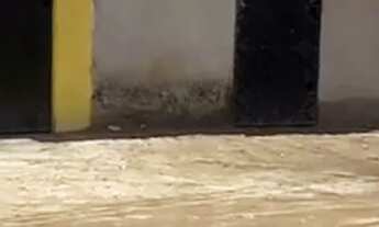 Imagem 2: VENDE-SE ESSA CASA