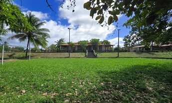 Imagem 6: Áreas à venda em rua pública, MOSQUEIRO, Aracaju, SE