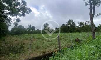 Imagem: Sitio à venda, Área Rural de Sitios de