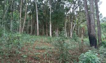 Imagem 3: Terreno de 2 mil mts 77 mil reais plaino