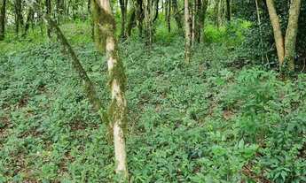 Imagem 5: Hectares para chácara