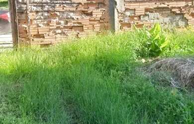 Imagem 5: AREA - JARDIM LAS VEGAS - SP