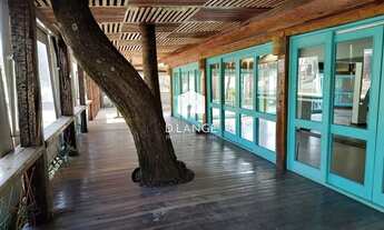 Imagem 4: Casa comercial para locação no bairro Vila Sônia em Campinas