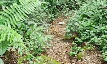 Imagem 4: Terreno à venda em Caraguatá - SP