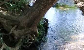 Imagem 5: Chacara em cezarina - 1.17 alquires