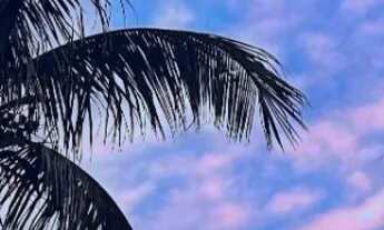 Imagem 2: Studio Pé Na Areia - Gonzaguinha