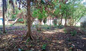 Imagem 11: SITIO NO MARACANÃ