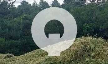 Imagem 3: TERRENO 1.438M2 QUATRO BARRAS