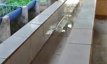 Imagem 3: Vende se Chácara com venda por R$1.500.000