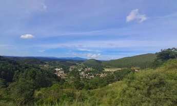 Imagem 3: Chácara 10.000m² (1 hectare ) em Campina Grande so Sul PR