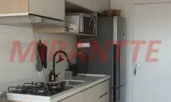 Imagem 4: Apartamento de 35m² com 2 quartos em Vila Guilherme