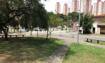 Imagem 3: Terreno 10 x 30 x 26,3 x 10,6 - Ótima localização Jardim do Estádio