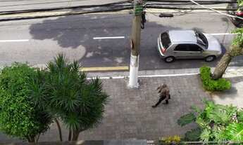 Imagem 7: Apartamento para aluguel com 54 metros quadrados com 2 quartos em Centro - Santo André - S