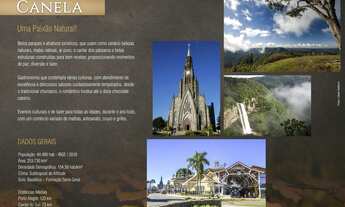 Imagem 2: Canela - Apartamento Padrão - Centro