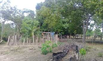 Imagem 7: Fazenda à venda 597Alq. 2.889,48Ha dupla aptidão. Cocalinho/MT