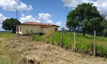 Imagem 3: Fazenda 127tarefas-St*Antonio Jesus-Ba