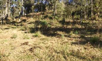 Imagem 3: Chácara em Urubici