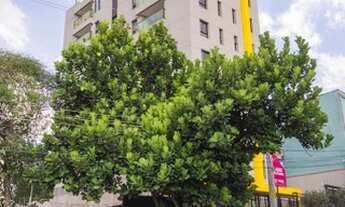 Imagem 2: Duplex residencial para venda, Perdizes, São Paulo - AD4354